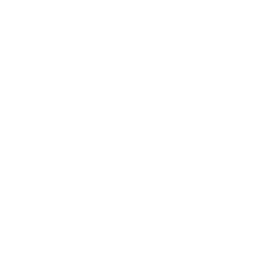 DIAZ ARENAS
